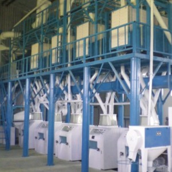 6FTF-40 Alikama iyẹfun processing ila